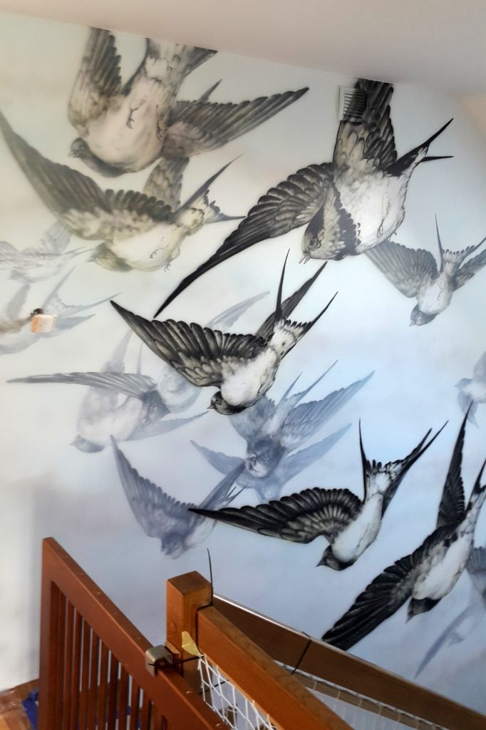 Mural na klatce schodowej, malowanie jaskółek na scianie w klatce schodowej, mural 3D