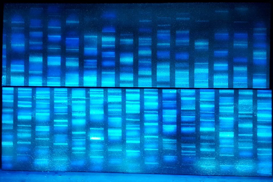 duże obrazy olejne do nowoczesnych wnętrz, abstrakcja na płótnie, sekwencjonowanie DNA